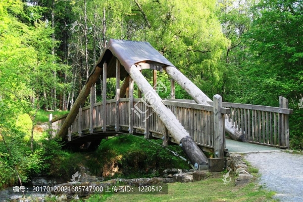 木橋