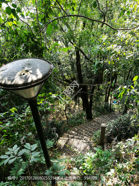 筆架山山路景區(qū)