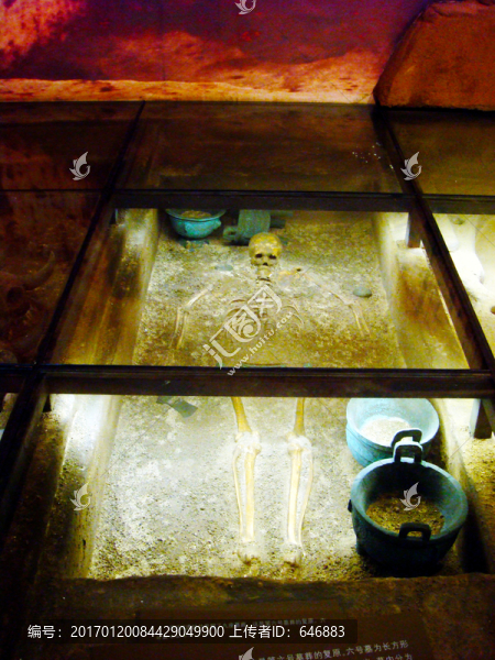 人體骨胳,棺內(nèi)