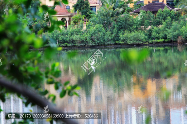 鷺-匯圖網(wǎng) www.fosd68.com 鷺