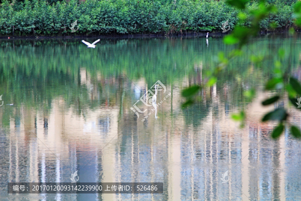 白鷺公園