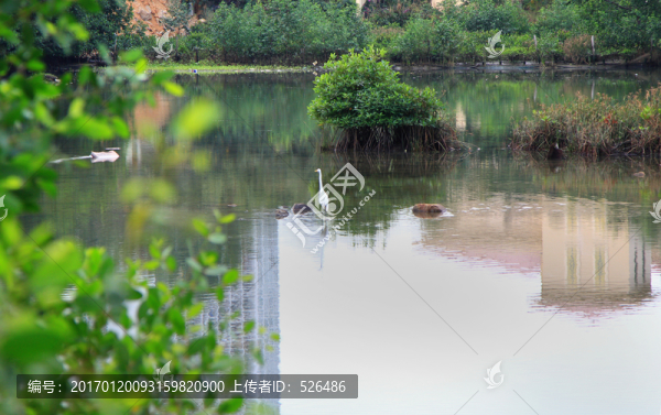 三亞白鷺公園