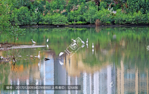 白鷺公園
