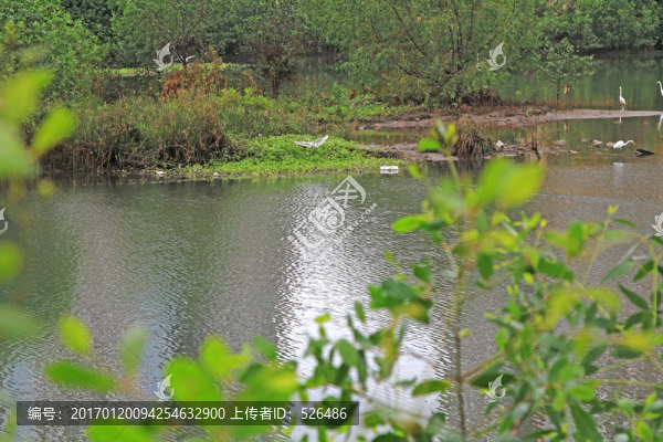濕地公園