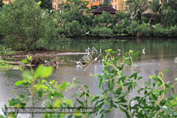 湖景別墅