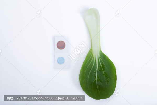 蔬菜農(nóng)殘快速檢測(cè)