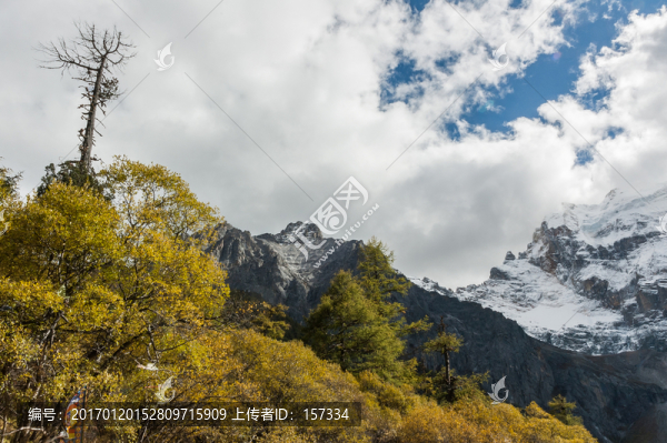 山林秋色