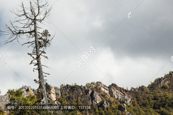 山林