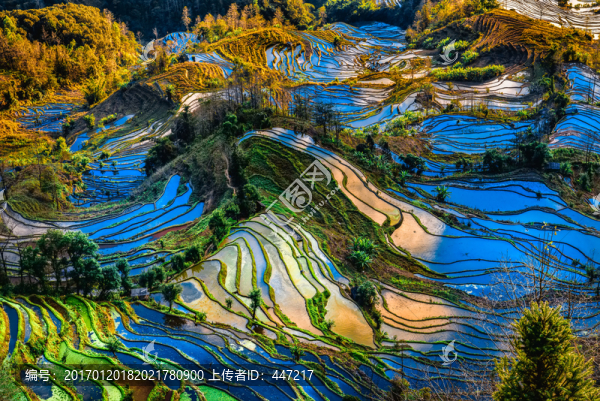 云南元陽(yáng)老虎嘴梯田