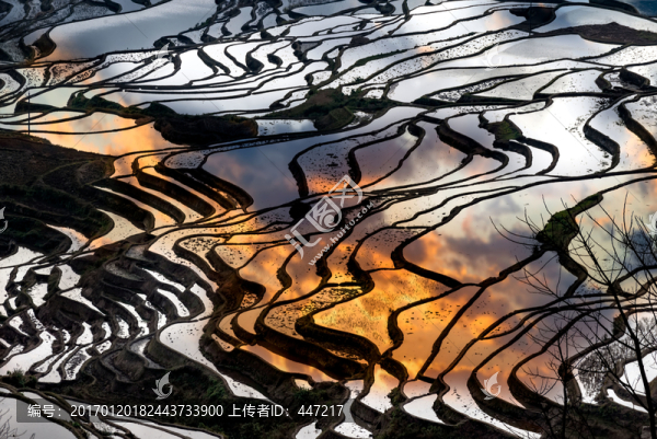 云南元陽(yáng)多依樹(shù)梯田