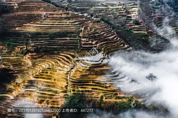 云南元陽壩達(dá)梯田