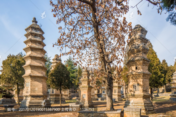 少林寺塔林