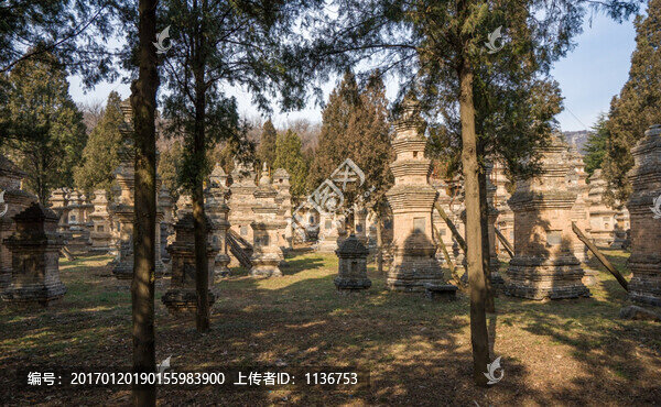 少林寺塔林