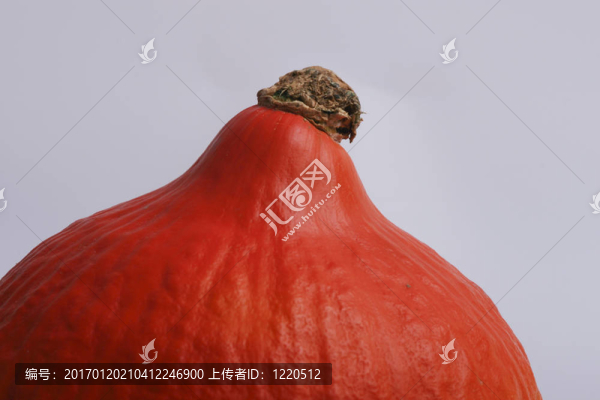 食品；水果；生長(zhǎng)；