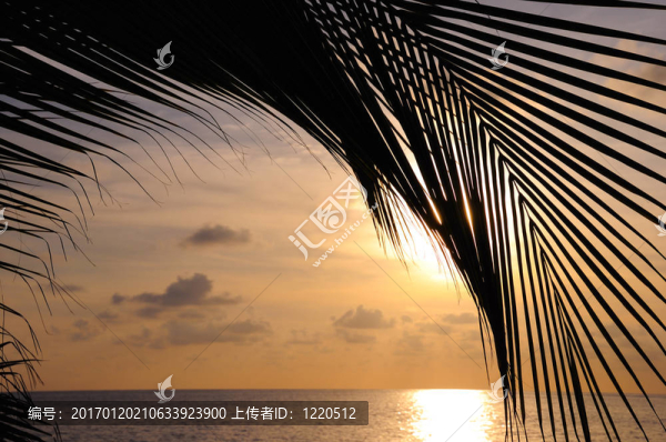 海灘日落背景