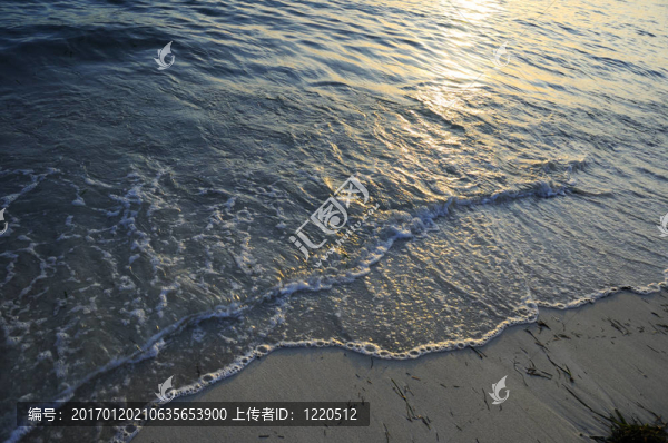 海灘波背景