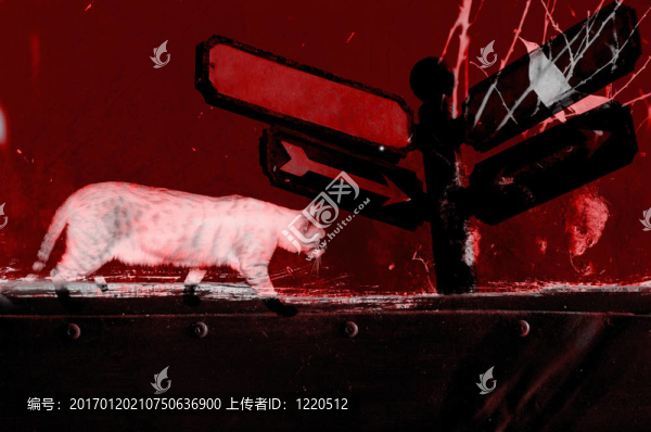 蹩腳的插圖與貓