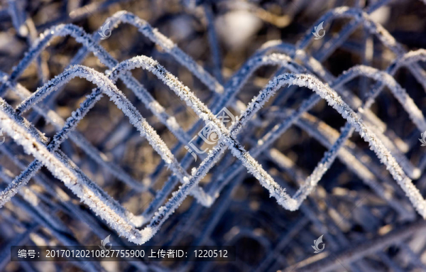鐵絲布滿(mǎn)白霜