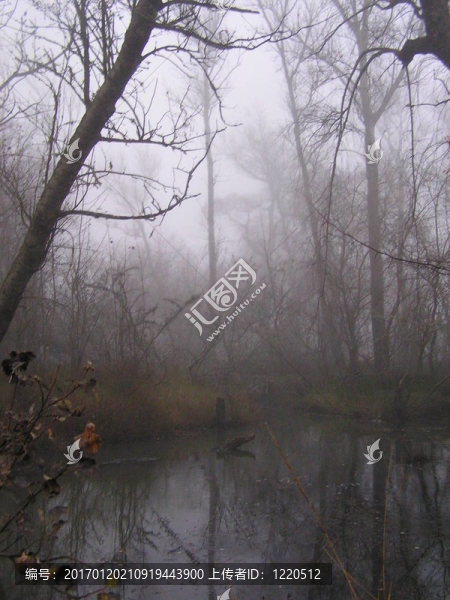 霧魔池塘現(xiàn)場