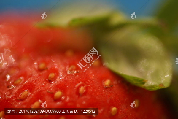 Strawberry特寫