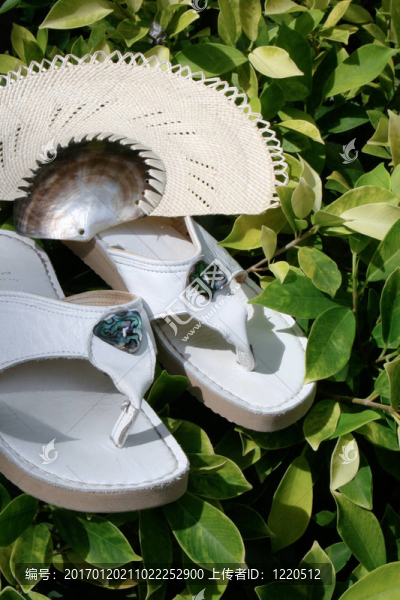 邁克爾桑德爾和風扇