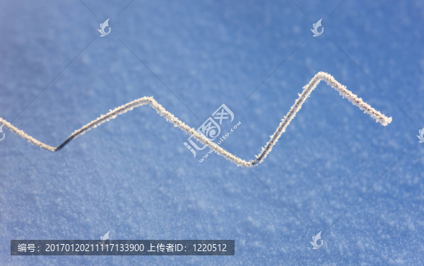 冬天的蛇