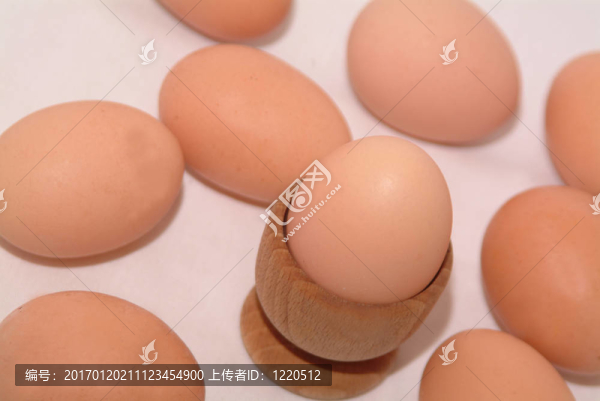 節(jié)日快樂