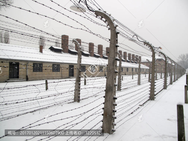 鐵絲網(wǎng)法國(guó)-匯圖網(wǎng) www.fosd68.com 鐵絲網(wǎng)法國(guó)