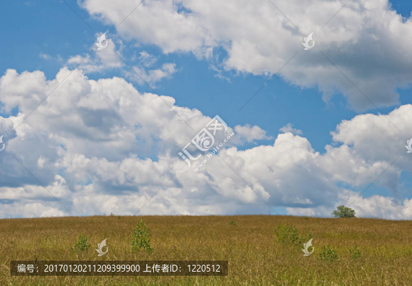 田野和天空