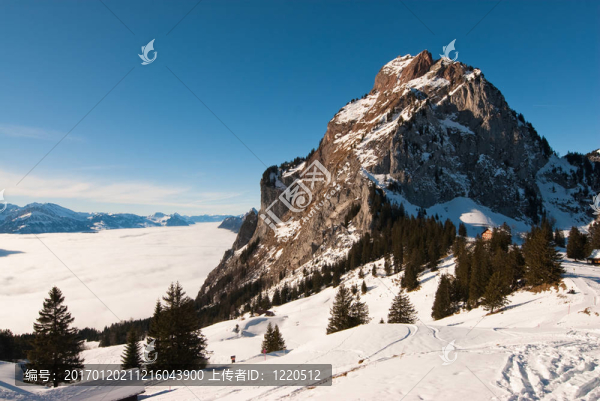 米森-匯圖網(wǎng) www.fosd68.com 米森