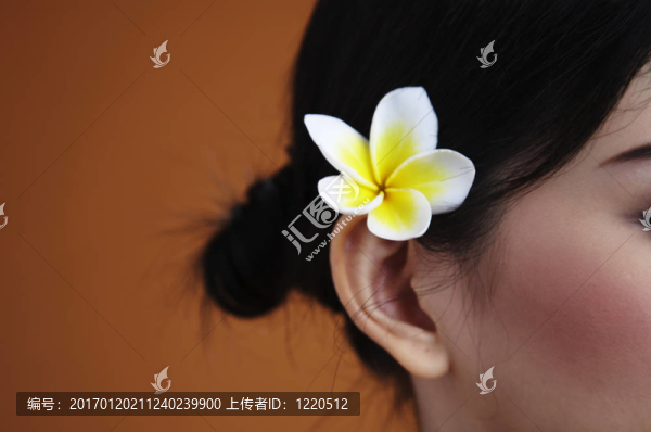 雞蛋花在女人的耳朵-匯圖網(wǎng) www.fosd68.com 雞蛋花在女人的耳朵