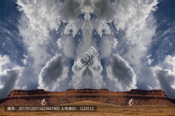 骨骼