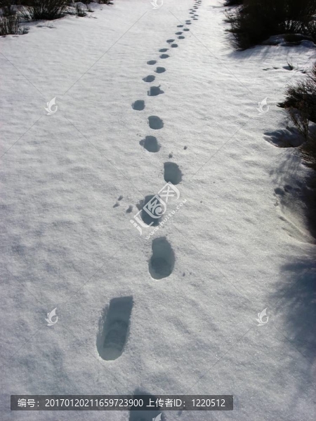 積雪的道路
