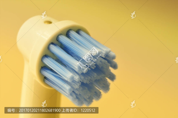 電Toothbrush,Head