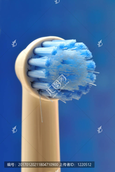 電Toothbrush,Head