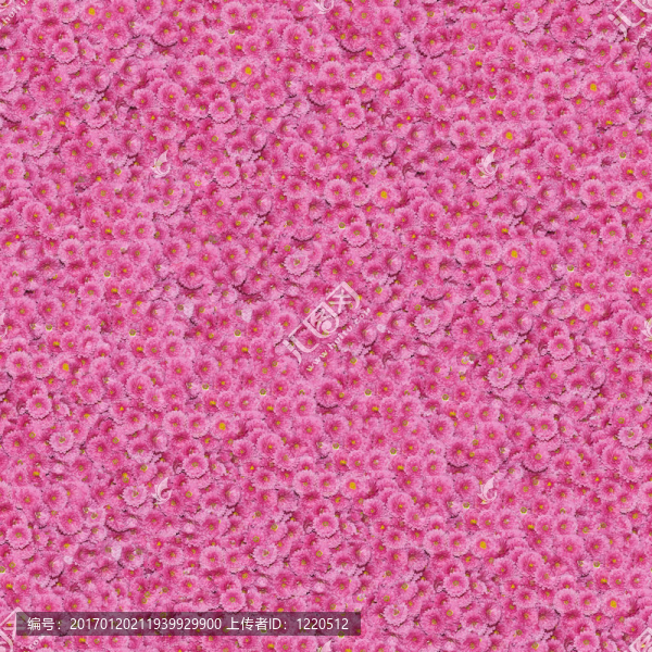 無縫的花卉圖案