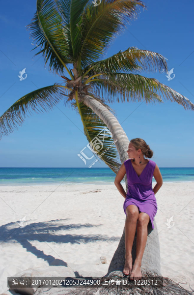 女孩與棕櫚樹