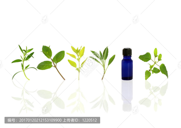 香薰精油草藥