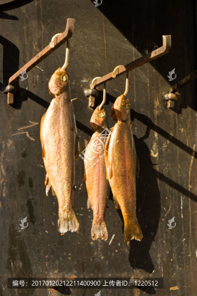腌熏三文魚鱒魚