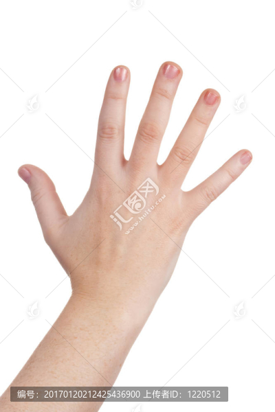 手的符號