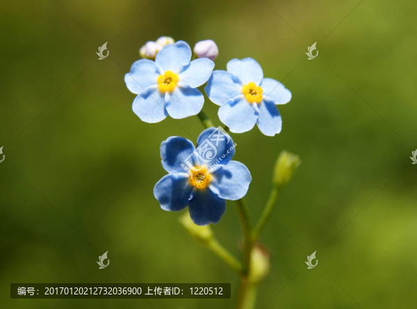 不要忘記我
