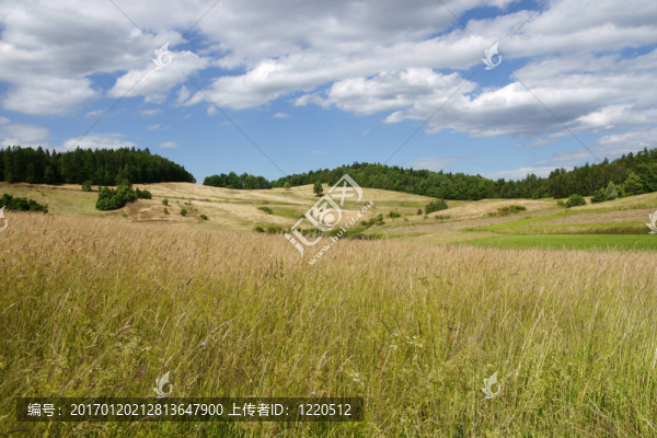 夏天landsscape-匯圖網(wǎng) www.fosd68.com 夏天landsscape