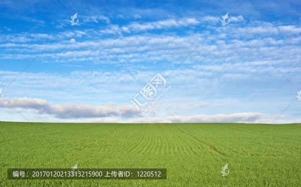 綠地和藍(lán)天