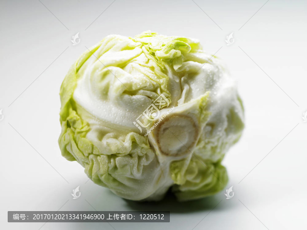 水滴白菜