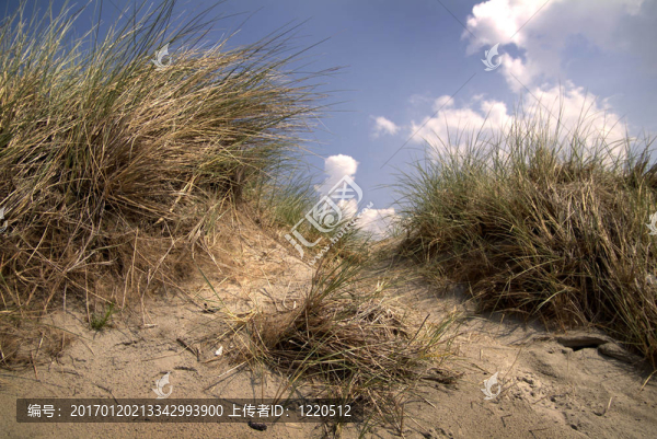 Beeld,voor,X射線Hoek,van,Holland