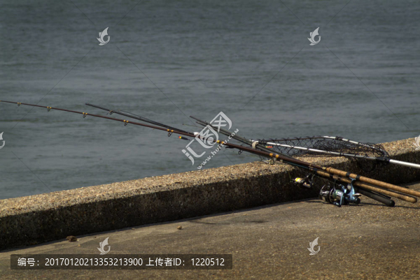 Beeld,voor,X射線Hoek,van,Holland