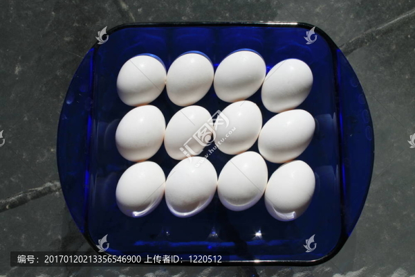 雞蛋-匯圖網(wǎng) www.fosd68.com 雞蛋