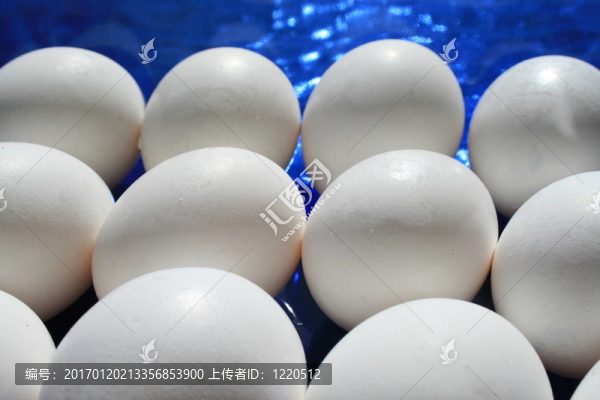 雞蛋