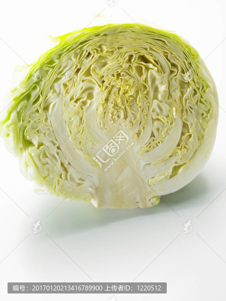 白菜對WH拍攝