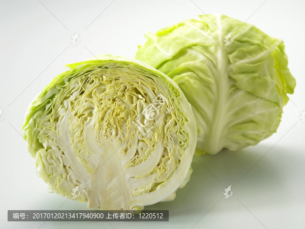 鏡頭的白菜